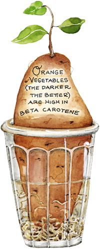 Orange cegetables (the darker the better) are high in beta carotene.