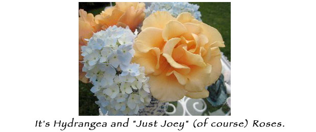 It's Hydrangea and “Just Joey” (of course) roses