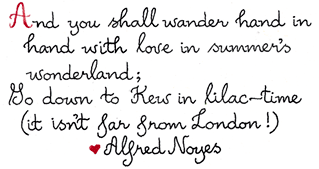 Alfred Noyes quote