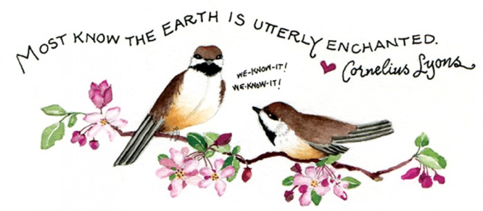 earthbirds