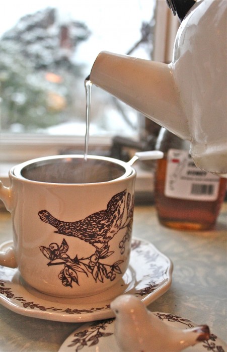 wonderful bird cup