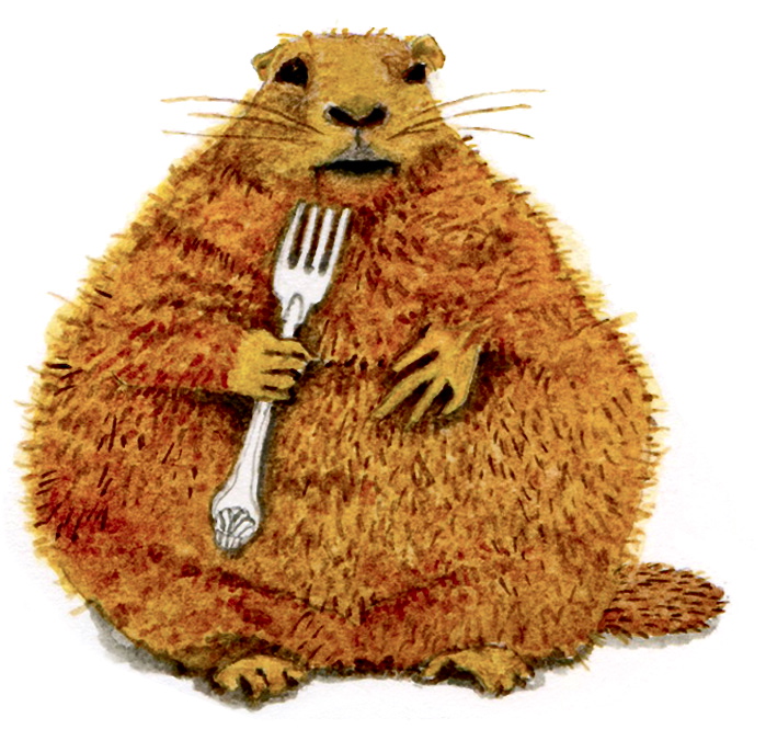 GROUNDHOG DAY (or, writing a book . . .) | Susan Branch Blog