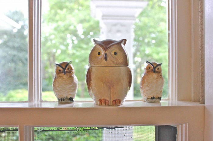 owl family