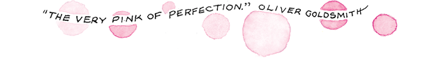 pink-perfection