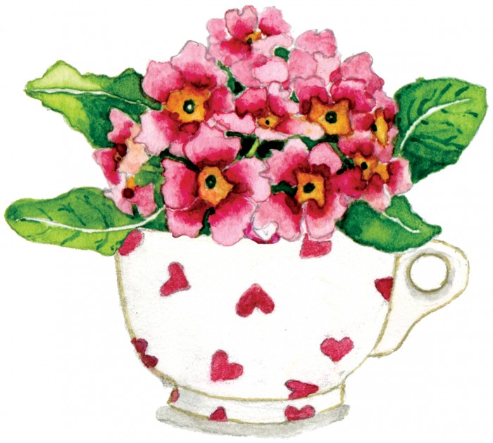 tea cup flowers