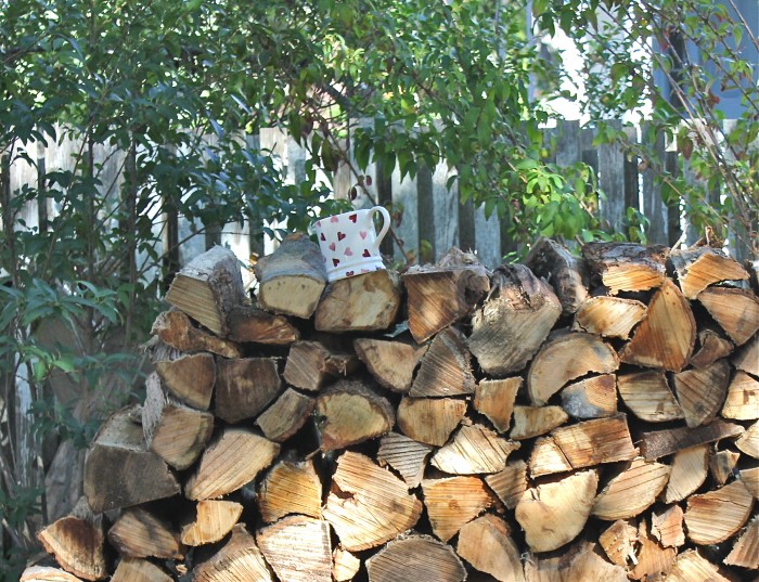 the wood pile