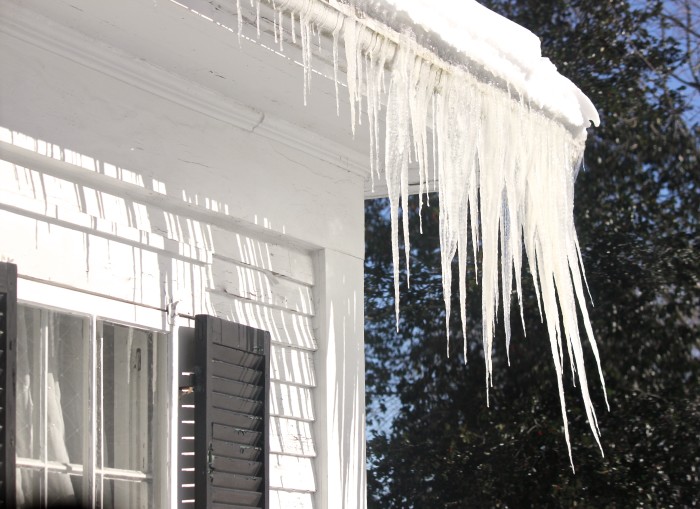 windblown icicles