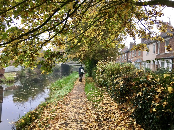 endorse fall walk aylesbury canal